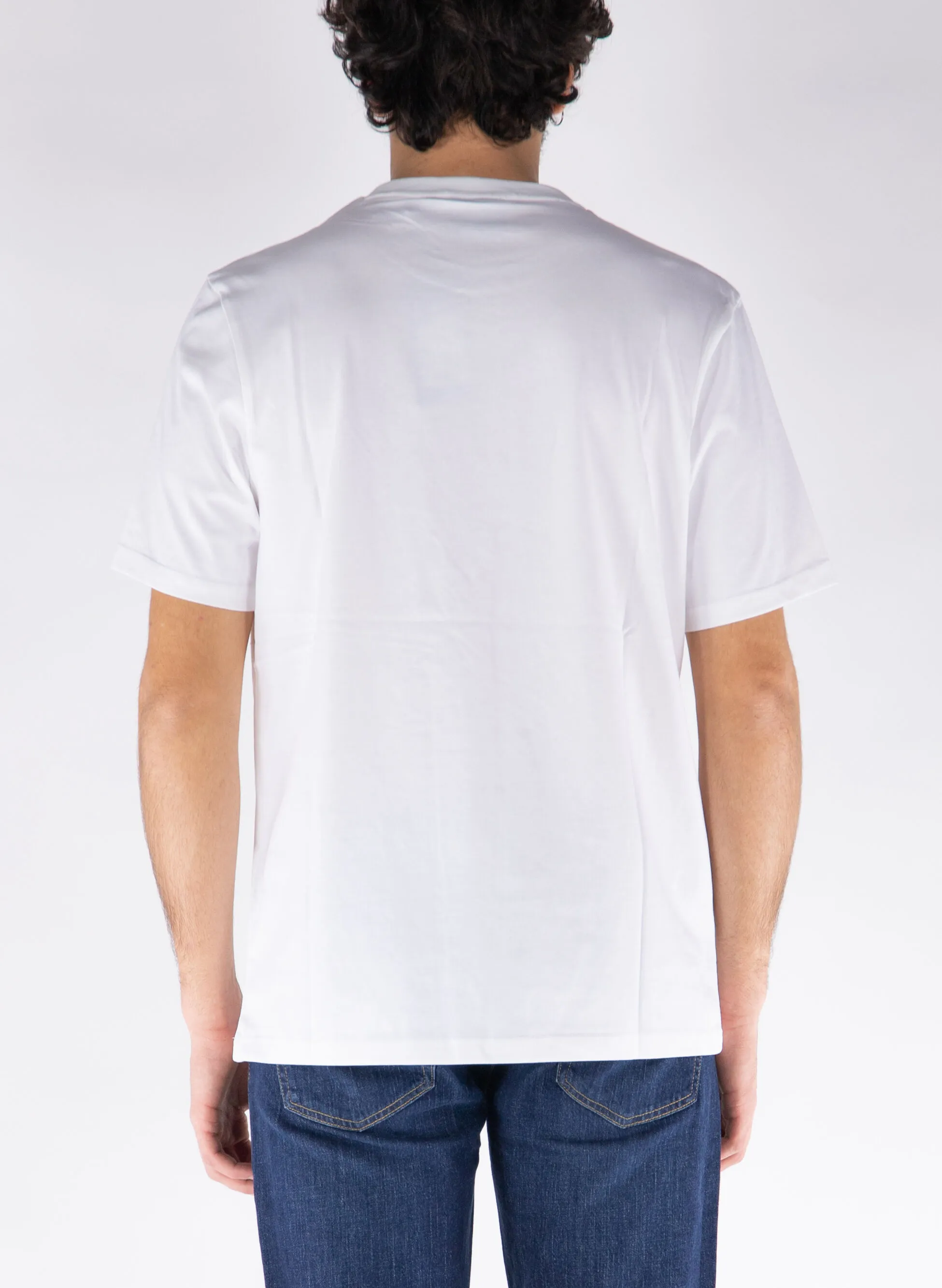 t-shirt plain